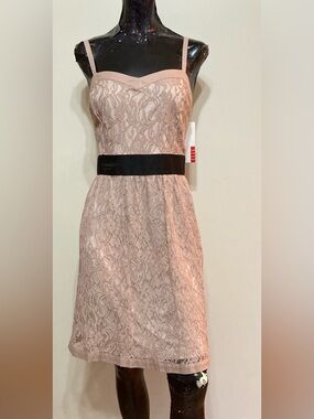 Sleeveless Lace Fit-and-Flare Dress in Blush with Black Waistband. Item# TSd30